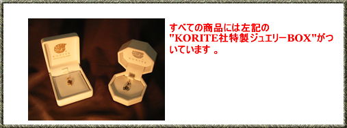 �ۏ؉摜