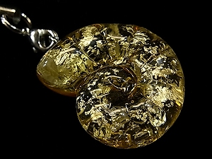 AiCg(ammonite)ΕKXtBMAXgbv