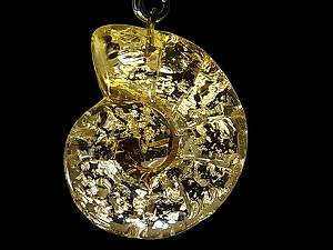 AiCg(ammonite)ΕKXtBMAXgbv