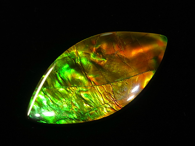 宝石ルース アンモライト 化石 Ammolite /約6.3g/1個 カナダ産