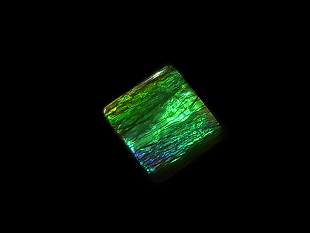 �W���G���[���H�����A�������C�g�n�C�O���[�h�X���[�����[�X