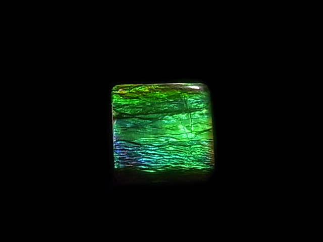 �W���G���[���H�����A�������C�g�n�C�O���[�h�X���[�����[�X
