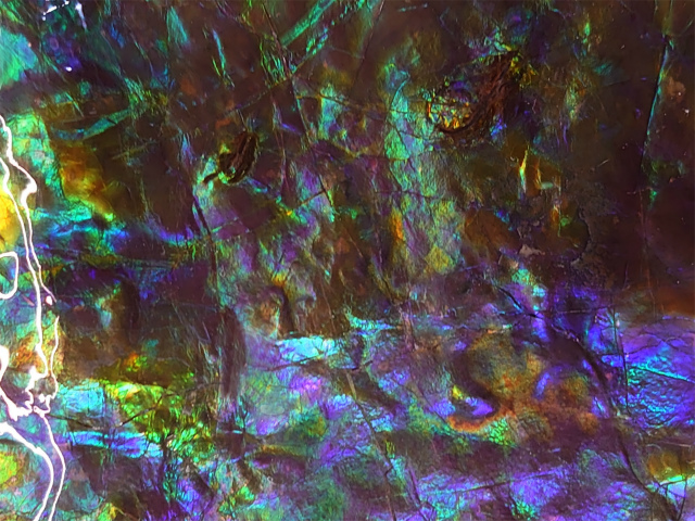 �A�������C�g���Ε\��